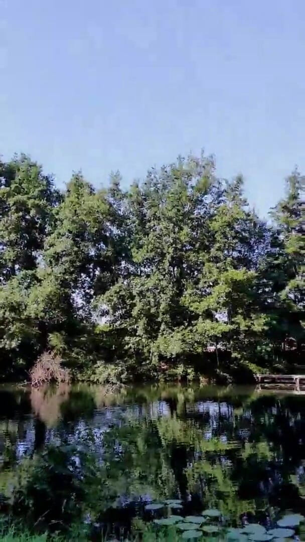 Slutboyben: 暴露狂女王