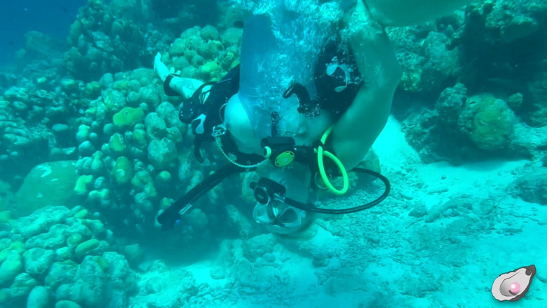 Mistress Pink Pearl: Timp singur în Bonaire