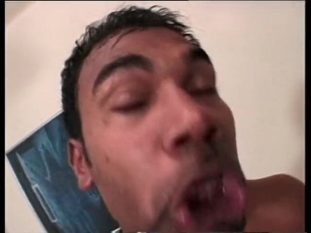 Black Sinner: De lul in de kut - dvd