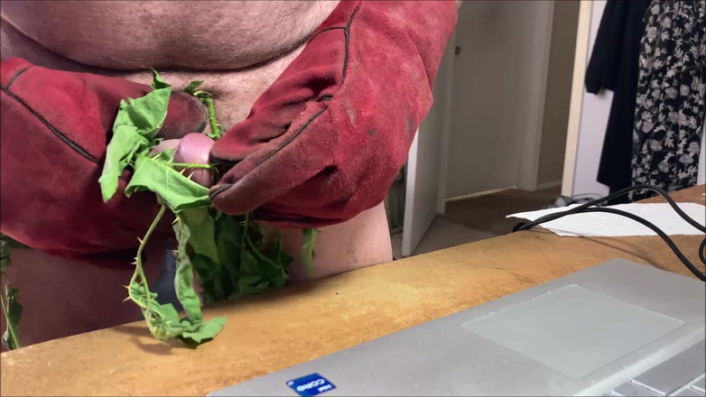 Cbtluvr: Sting nettles CBT, Stinging Nettles, CBT, Štípání Kopřivy na péru, Štípání Kopřivy...