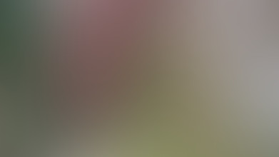 Locked due to age restriction