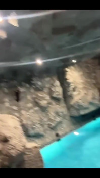 Swimming Solo
