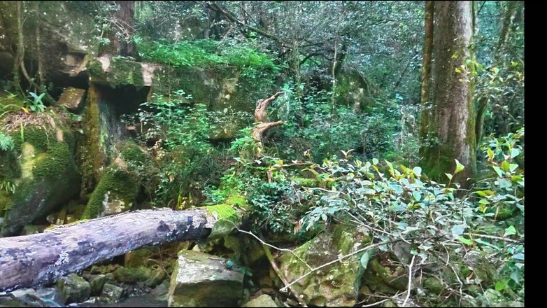 Black Swan: MILF får sin fitta ätit och knullad vid floden