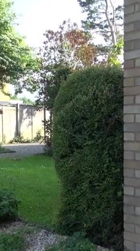 Eva Johnson viene sbattuta da Luke Hotrod