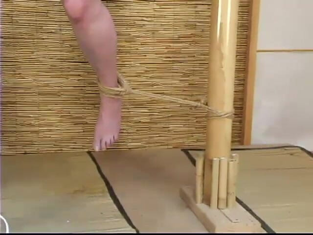 Hogtied by Kink: Tracey Hilton