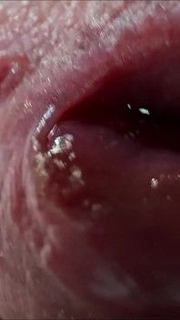 Sperma Im Nahaufnahme Front