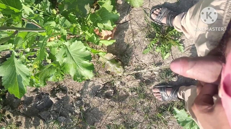 Savita5343: Vesnická desi bhabhi ošukaná v hořčickém poli zezadu. Venkovní sex...