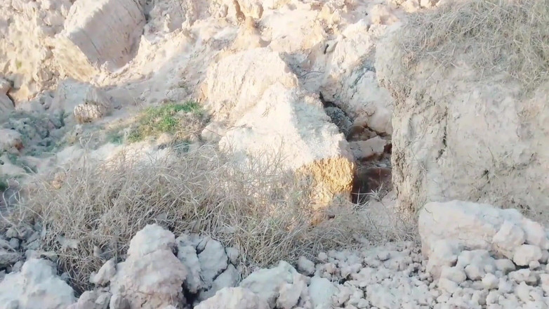 Abida sexy: Sexo indio al aire libre