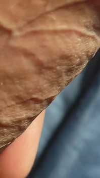Vene che esplodo con olio del nonno grezzo.
