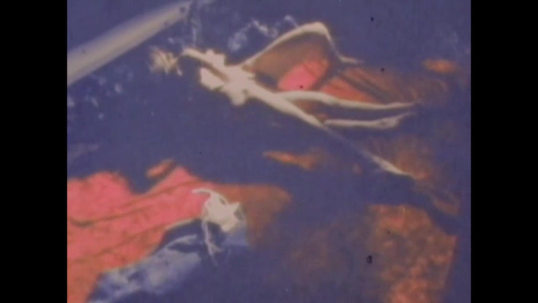 Vintage Usa: 돼지를 보고 즐기세요