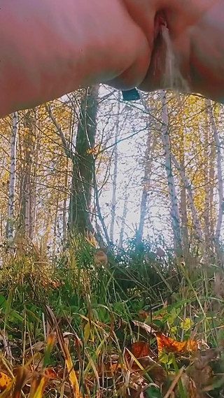 Thumbnail of Wet Outdoor Games