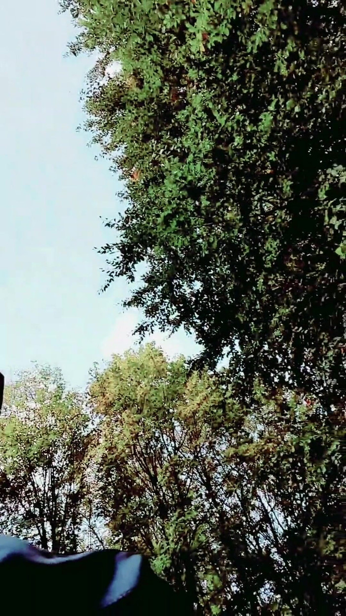 Slutboyben: Slutboyben Cam4 sexy cruising küken auf Schwerin B321 Parkplatz