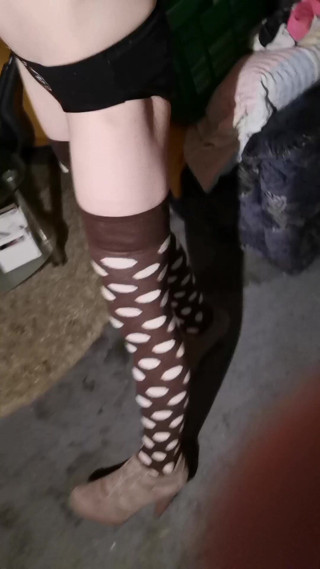 Dominique 4: I'm New