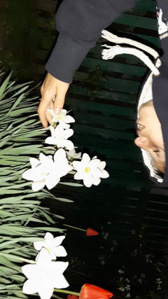 Lesbian-candys: Prima ho invitato la mia vicina ad ammirare i fiori,...
