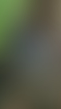 Waldpiss