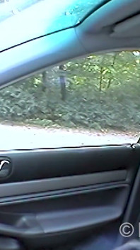An Open Cunt From the Cow Dam
