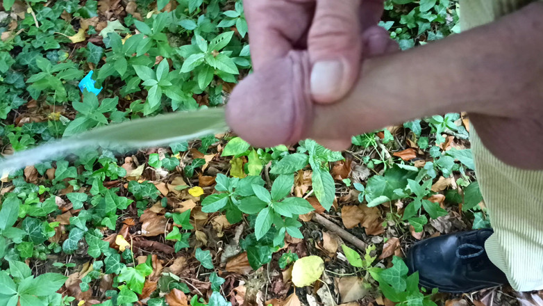 Rockardglans: Une grosse bite non circoncise se promène, pisse et branlette...