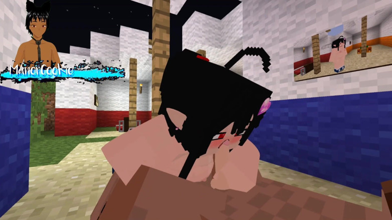 Manor Cookie: 마인 크래프트 Jenny Mod Fapcraft Elise는 항상 자지에 입을 열어