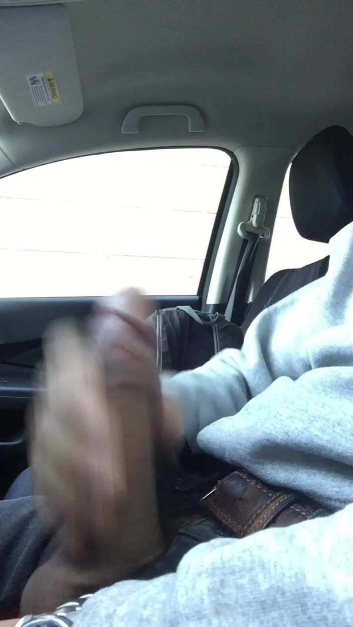 Capitanpuppy: Mrdka v mém autě