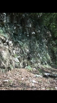 Grandota milf atrapada meando en el bosque por un joven con una polla dura