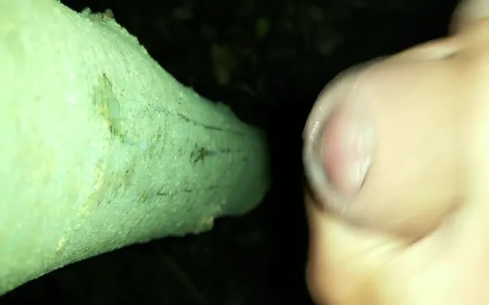Idmir Sugary: I Added My Cum on "cruising Cum Tree"