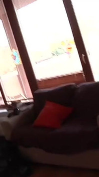 Sexy big boobs big dick sucking hairy pussy fucking threesome
