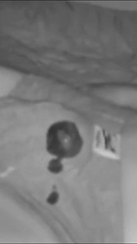 Compilation of 2 Amateur Smooth Boy's Wet Dreams Caught on Cam