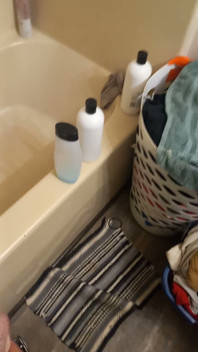 Fun in the Shower