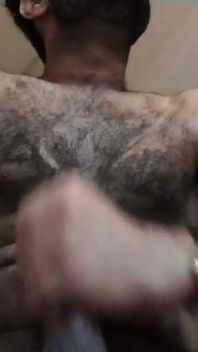 Tvrdý penis