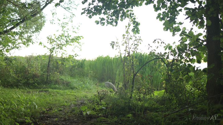 Stunning18: Battaniye üzerinde rahatlatıcı