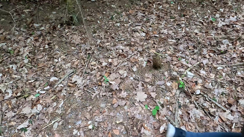 Bouncy Tits Action: Una punizione molto dura nella foresta