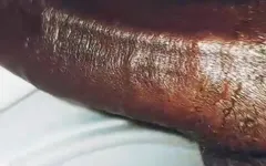 Aww Perfect Digging Tool