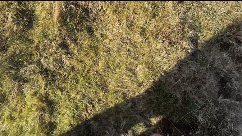 Emma Voyeur: Am fost prinsă mângâindu-mă în public... M-a ajutat să termin