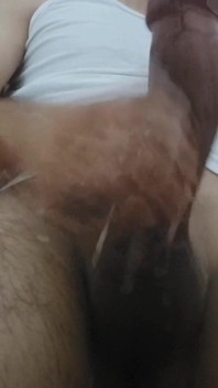 Big Cock Dz