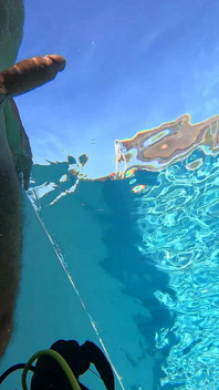 All Natural MILF Julia North Underwater Anal in the Pool