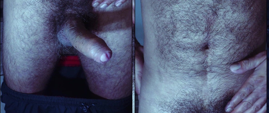 Stink HairyMale: Brzuch, pachy i penis