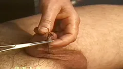 needlework gay bizar.