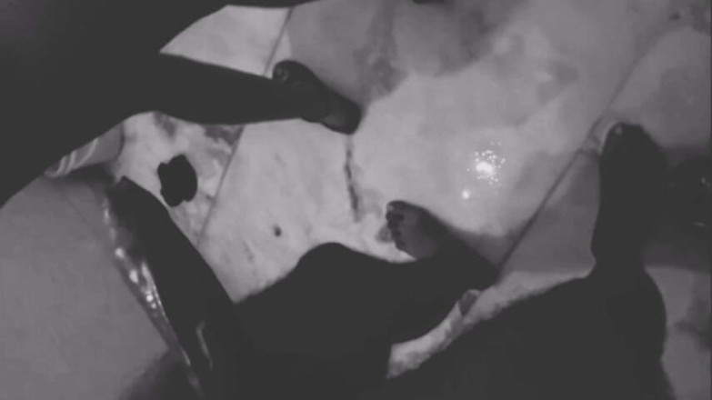 Rishi: Mi sono fatto succhiare il cazzo in bagno da mia...