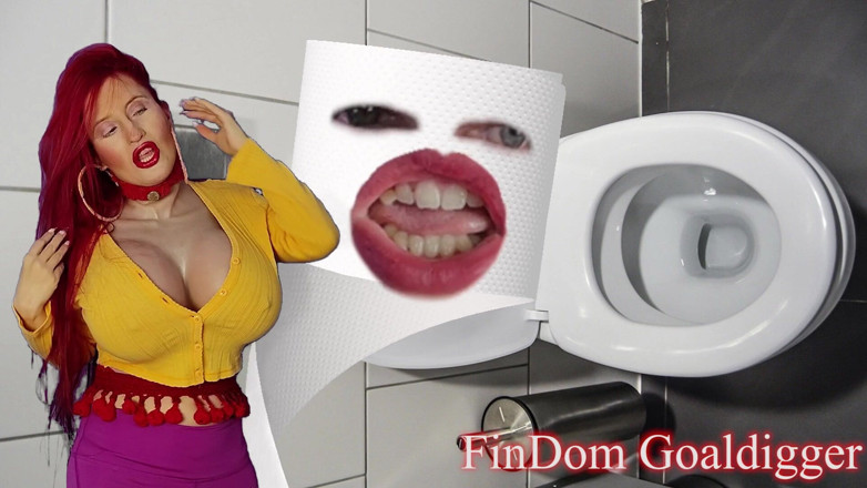 FinDom Goaldigger: Transformasi ke dalam Kertas Tandas