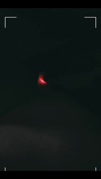 3795062077.mp4