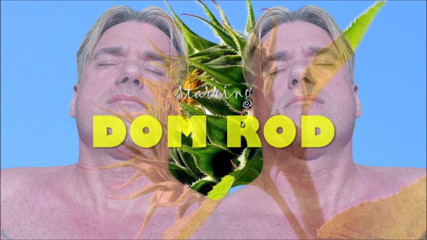 Dom rod: Sunny Day, Sunny Sperm 3