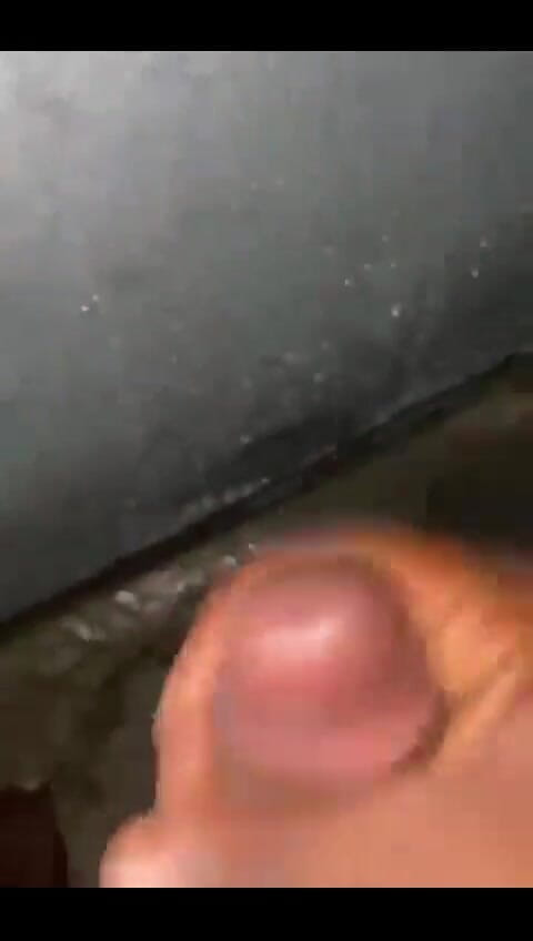 Haydenbbc: Rapid Unu
