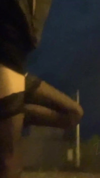 Another Walk with a Ponytail in the Anus