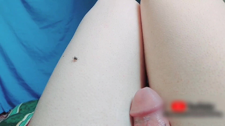 Kitty_Cross: 20 sprut handsfree samlingsvideo het söt slät femboy ben stor...