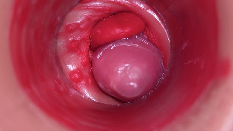 Ladybottox: Inside a Camgirl Cervix POV Camera in Vagina with Big...