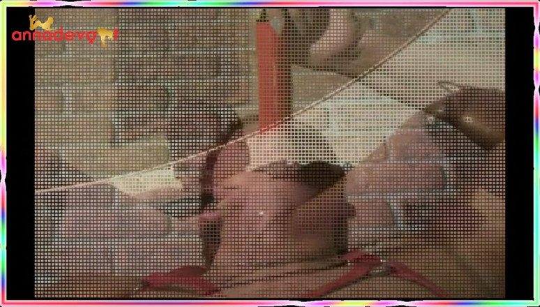 Anna Devot: The Main Thing Is a Dildo in the Fuck Hole