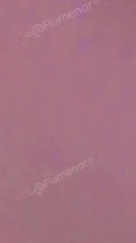 Domácí video