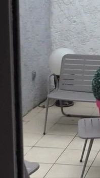 İki süper güzel heteroseksüel adam birbirini emiyor