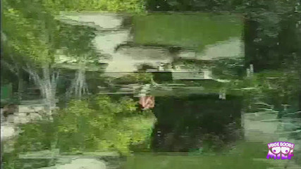 Huge Boobs MILF: Una bionda sexy non esperta scopata all'aperto in piscina da...