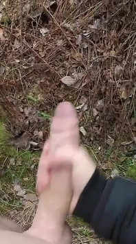 Дрочка руками в лісі